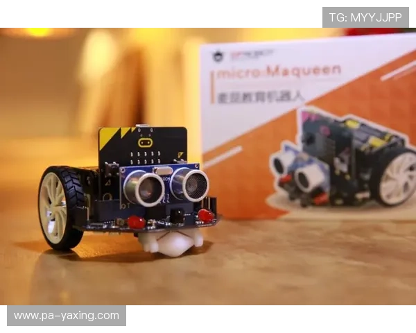 亚星娱乐游戏网址技术支持和客服服务，确保用户在使用过程中遇到的问题及时获得解决方案