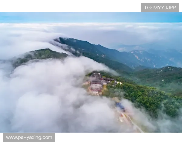 亚星娱乐线上网址下载操作流程详解新手也能轻松掌握的完整指南