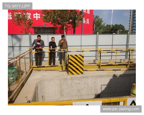 亚星官方正网平台常见问题及解决方案全攻略帮助用户快速排查问题