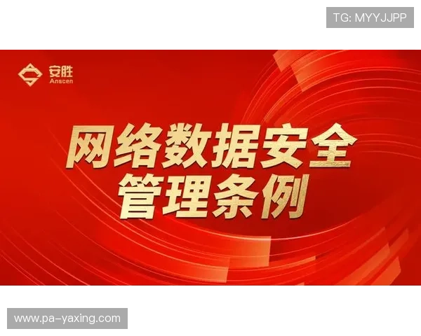 亚星平台官网首页安全保障措施,确保用户数据安全与平台稳定运行的详细说明 亚星平台官网首页安全保障措施,确保用户数据安全与平台稳定运行的详细说明