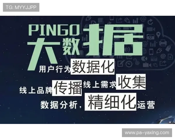 亚星平台：结合大数据分析实现精准营销与客户关系管理