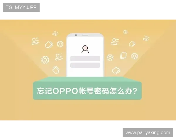 亚星正网登录账号密码忘记怎么办，详细解决方案帮助用户快速找回