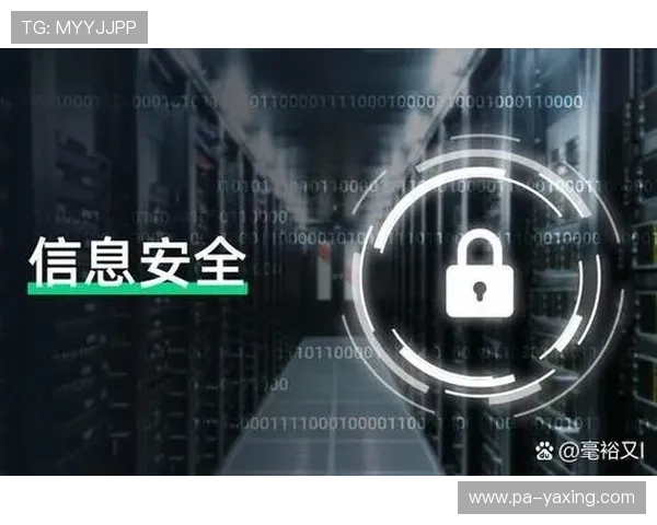 亚星游戏会员登录入口账号安全保护措施，保障您的个人信息安全