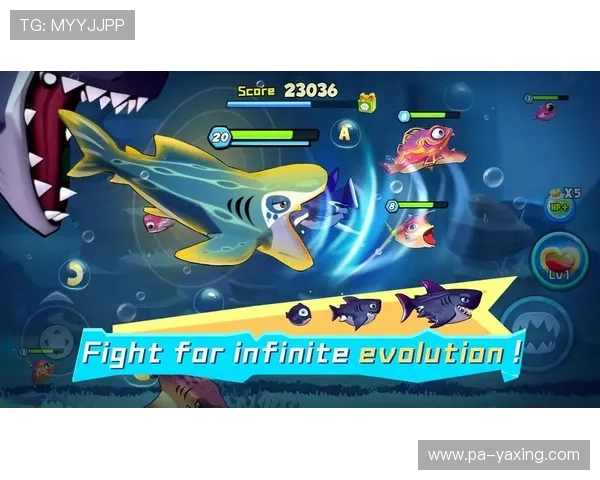 亚星游戏官网登录入口优惠促销方案2024年度最新优惠内容介绍