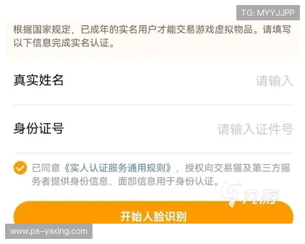 亚星游戏平台入口：亚星游戏平台入口的安全性分析与用户登录注意事项