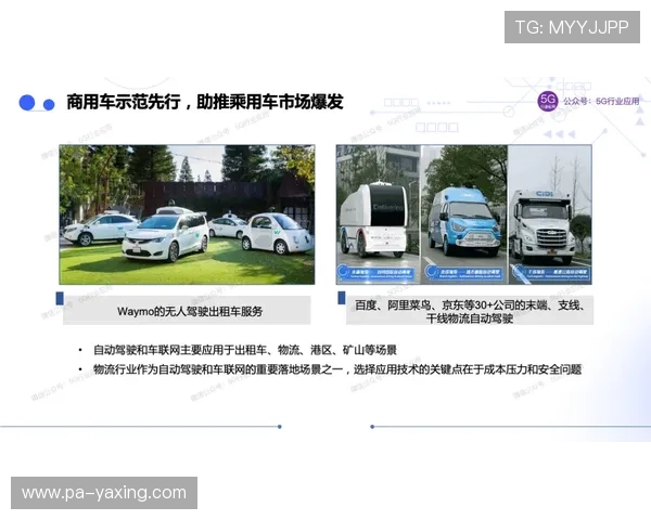 亚星登录官网333最新版本免费下载与安装详细指南