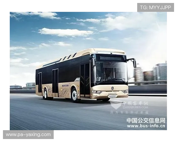 亚星网站的技术支持与安全保障措施，确保用户信息安全与网站稳定运行