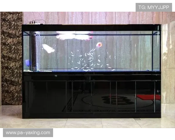 亚新体育登录下载常见故障排查指南，快速解决登录失败与下载异常问题