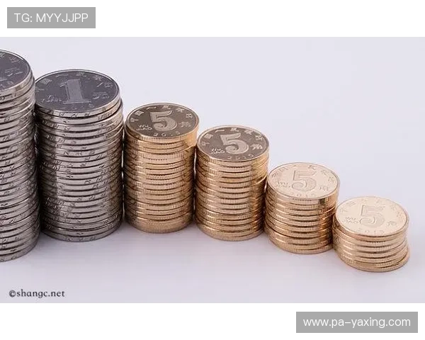 亚星会馆怎么样评估其整体运营状况和未来发展潜力的专业分析