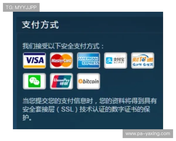 亚星娱乐数字站如何助力玩家提升游戏体验与获取最新优惠活动详尽指南 亚星娱乐数字站如何助力玩家提升游戏体验与获取最新优惠活动详尽指南
