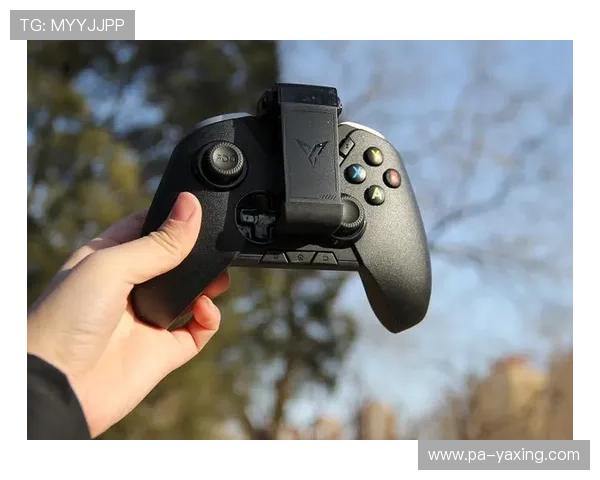 亚星游戏登录网解决登录难题提供快速登录通道确保玩家游戏体验流畅无阻