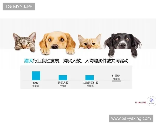 亚星真人国际未来发展趋势预测，行业专家解读平台创新与扩展策略