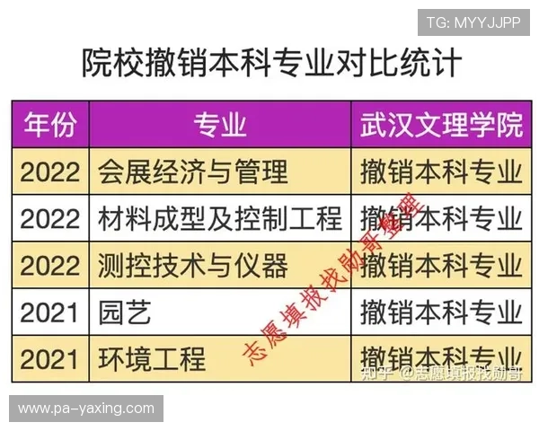 亚星集团有限公司的核心业务与创新技术应用详解为游戏开发者提供实用行业参考资料