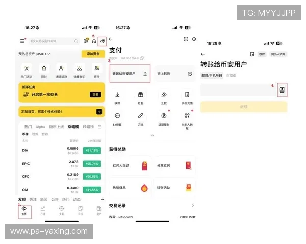 深入了解亚星国际官方网的支付方式，确保交易安全便捷