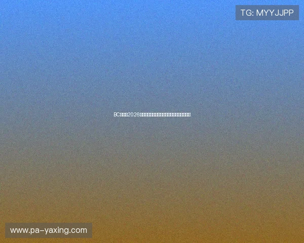 BC体育网2026世界杯赛前预测与专家点评助您把握比赛走势